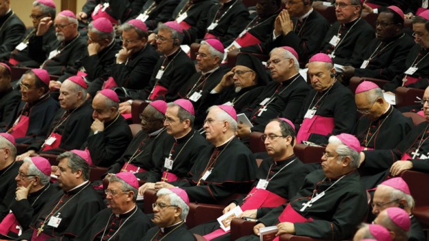 Cardinals-at-Synod.jpeg
